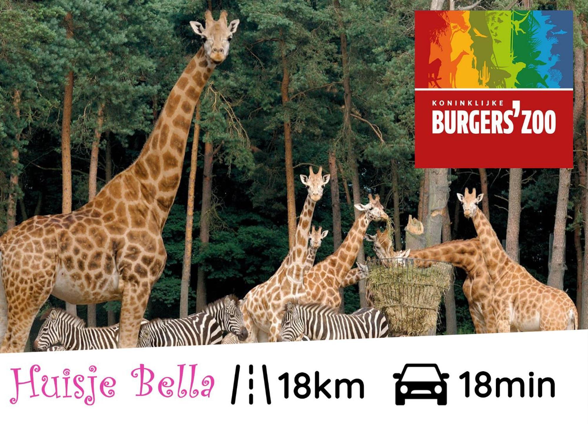 Chalet Huisje Bella Op De Veluwe Max 2 Volwassene Бекберґен Екстер'єр фото